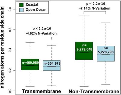 Stoichio-Metagenomics of Ocean Waters: A Molecular Evolution Approach to Trace the Dynamics of Nitrogen Conservation in Natural Communities